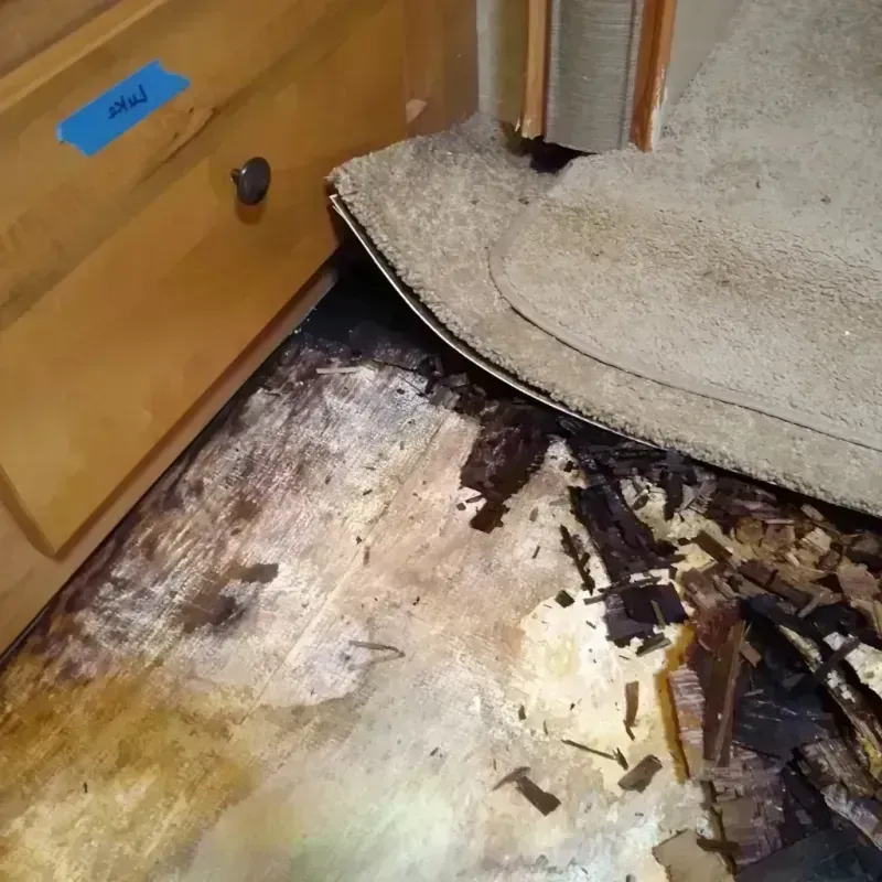 Wood Floor Water Damage in Beach Haven, NJ